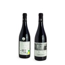 PENEDES ECO Terra Terrae Tinto 75 cl
