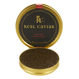 Caviar Amur Beluga Lata 10 grs