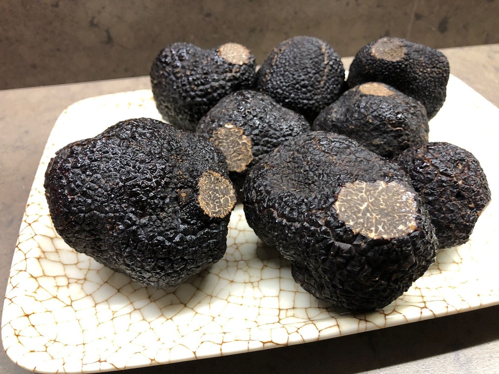 Trufa Negra Invierno TUBER MELANOSPORUM 100 grs
