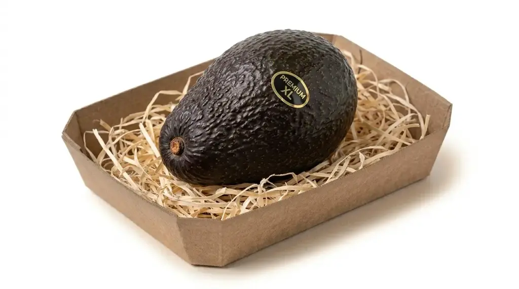 AGUACATE UD