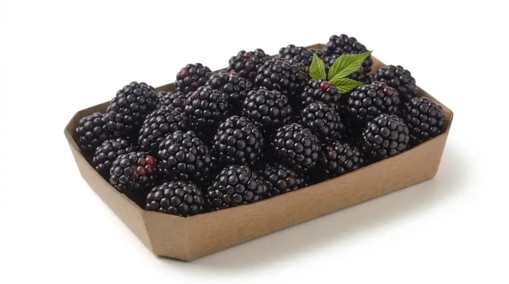 MORAS BANDEJA