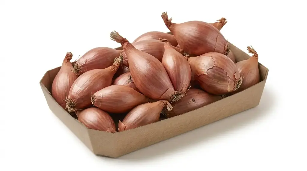 CHALOTA