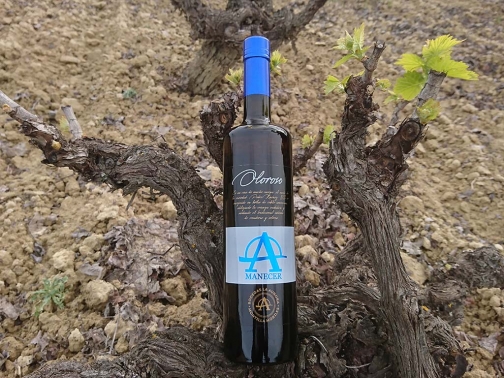 Vino Oloroso Montilla (Blanco viejo / Rancio)
