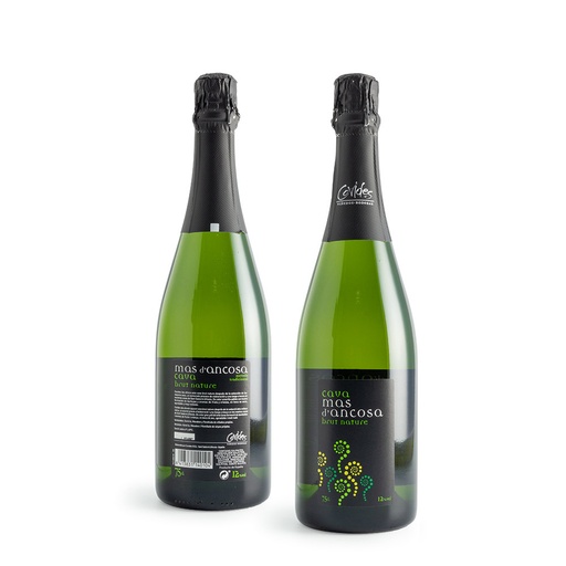 Duc de Foix Brut Nature Magnum