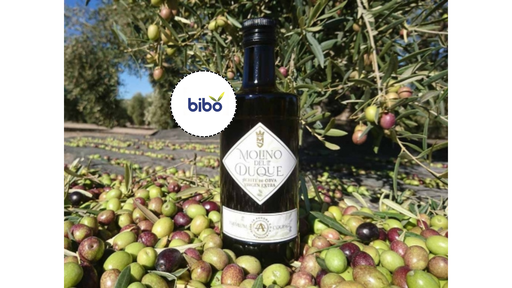 AOVE Virgen Extra Molino Del Duque Vidrio 500 ml