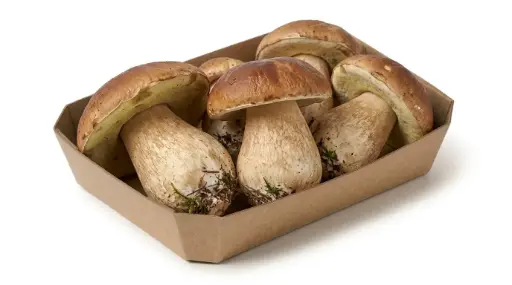 CEPS FRESCO xKG