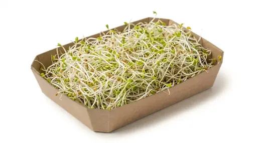 GERMINADOS ALFALFA 150 GR