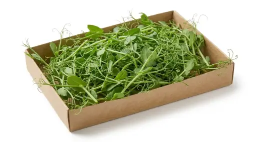 GIRM DE GUISANTES 