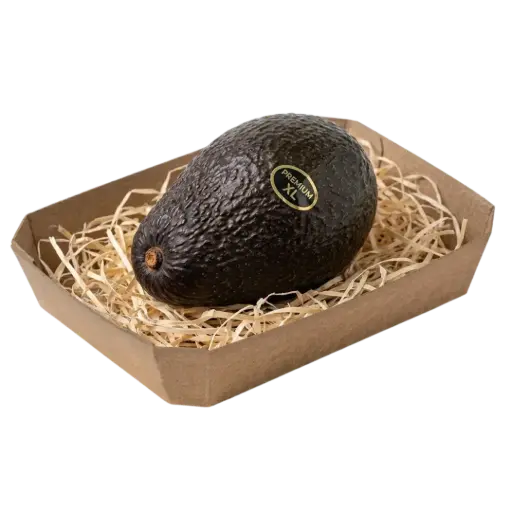 AGUACATE UD