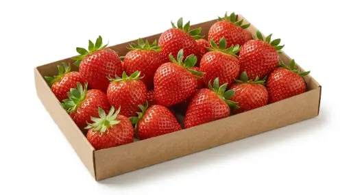 FRESA HOLANDA 500 GR