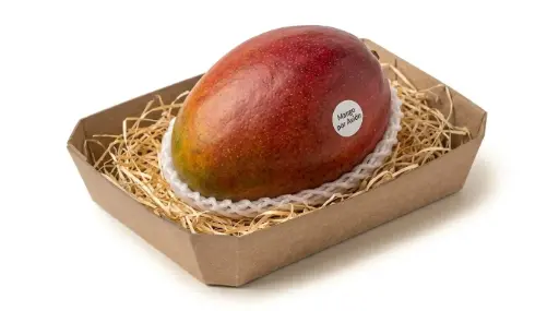 MANGO AVION KG