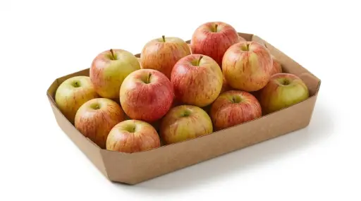 MANZANA FUJI EXTRA xKG
