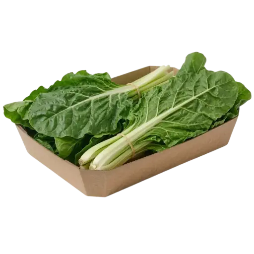 ACELGA VERDE