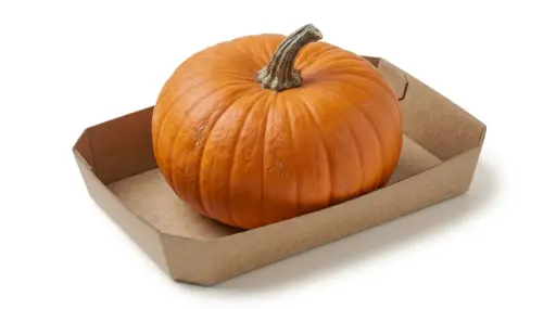 CALABAZA HALLOWEEN
