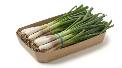 CALÇOT MANOJO (25 UD)