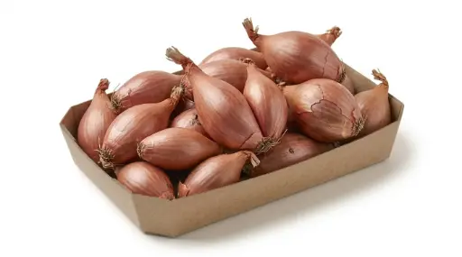 CHALOTA