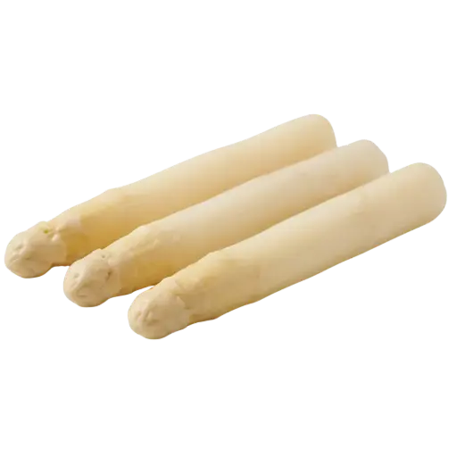 ESPARRAGO CONSERVA